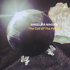 Commander Fallen Angelic Warrior R. with Enchanted Black Mirror - Spell Cast to Erase Negativity and Curse Deflection - With Video
