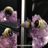 Protective & Charismatic Queen Wereleopard A. - With Vessel and Video